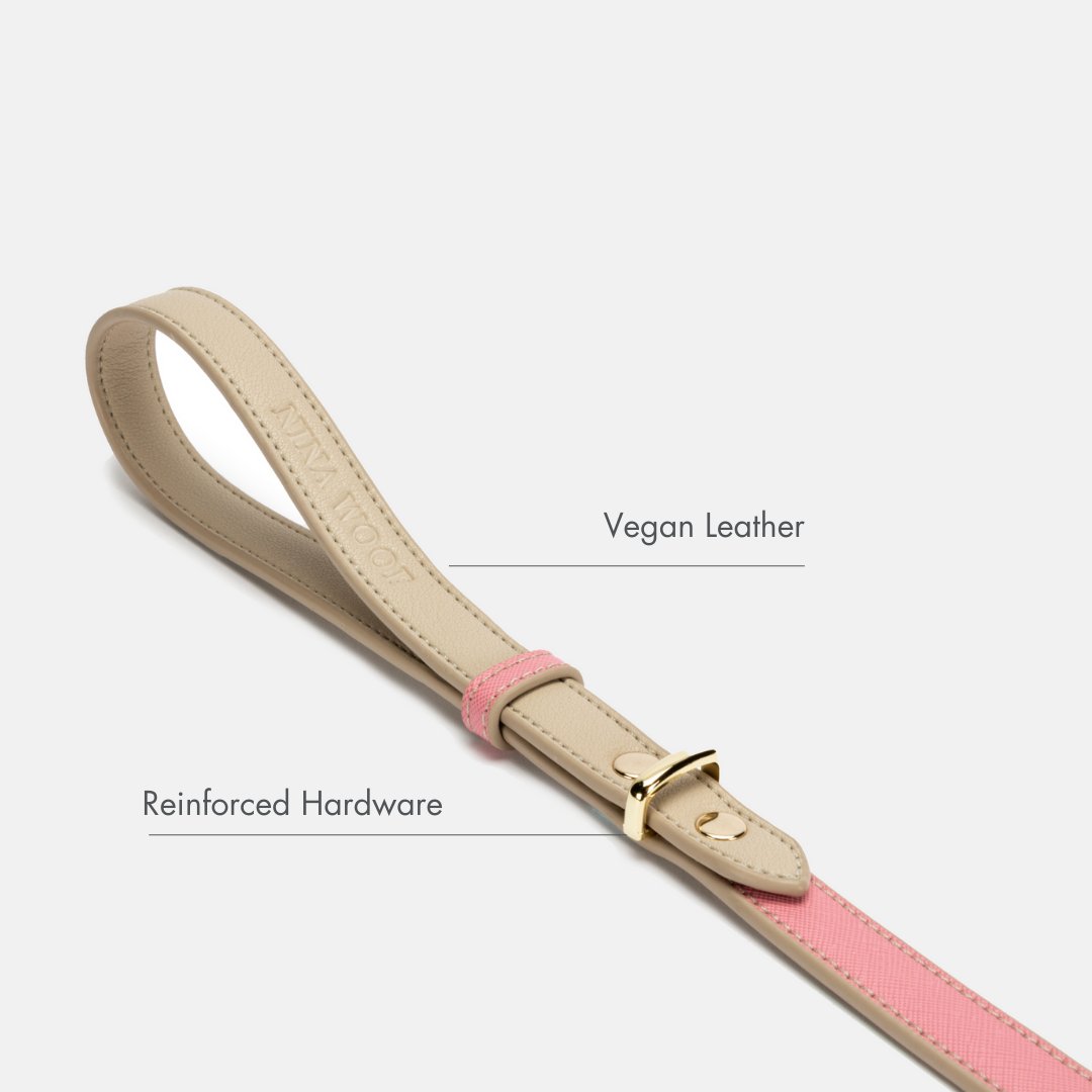 Laisse de 1,20 m - Cuir végétalien - Rio