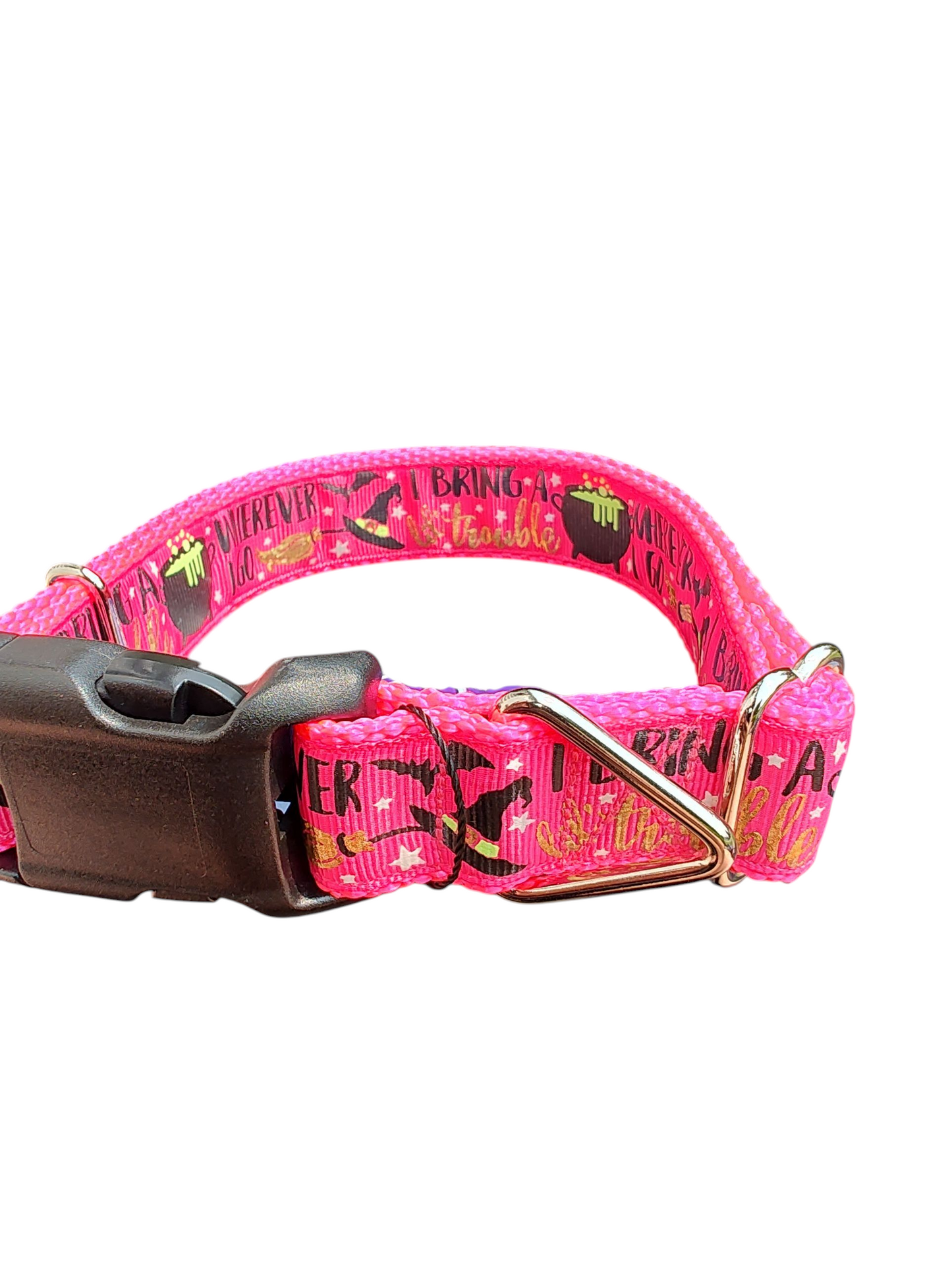 Collier pour chien en nylon « Je porte des ennuis »