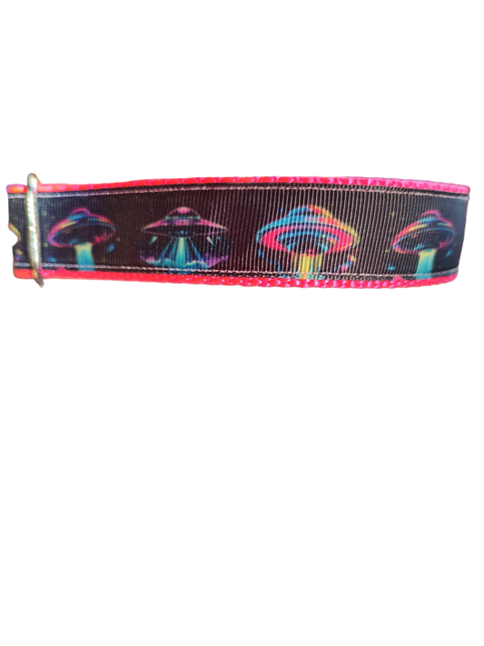 Collier pour chien en nylon néon OVNI
