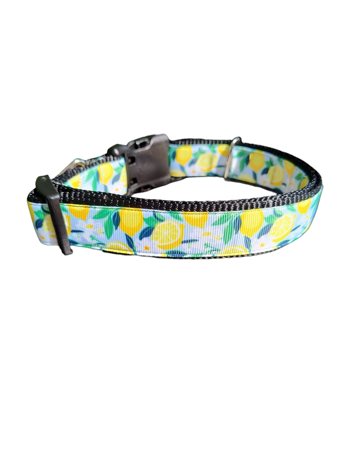 Collier pour chien en nylon à fleurs de citronnier
