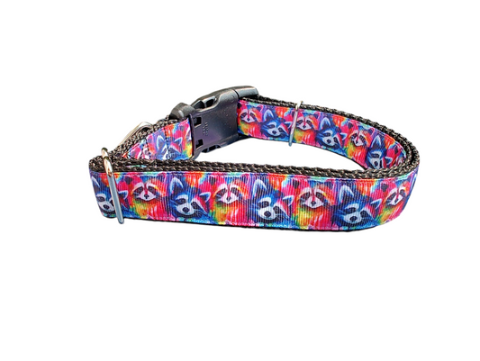 Collier pour chien en nylon Trash Panda Raccoons