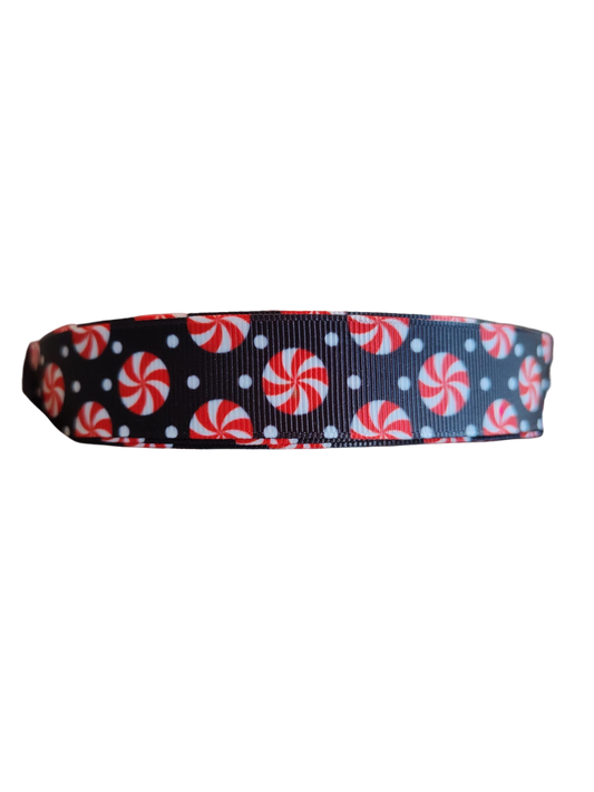 Collier et laisse pour chien en nylon à la menthe poivrée