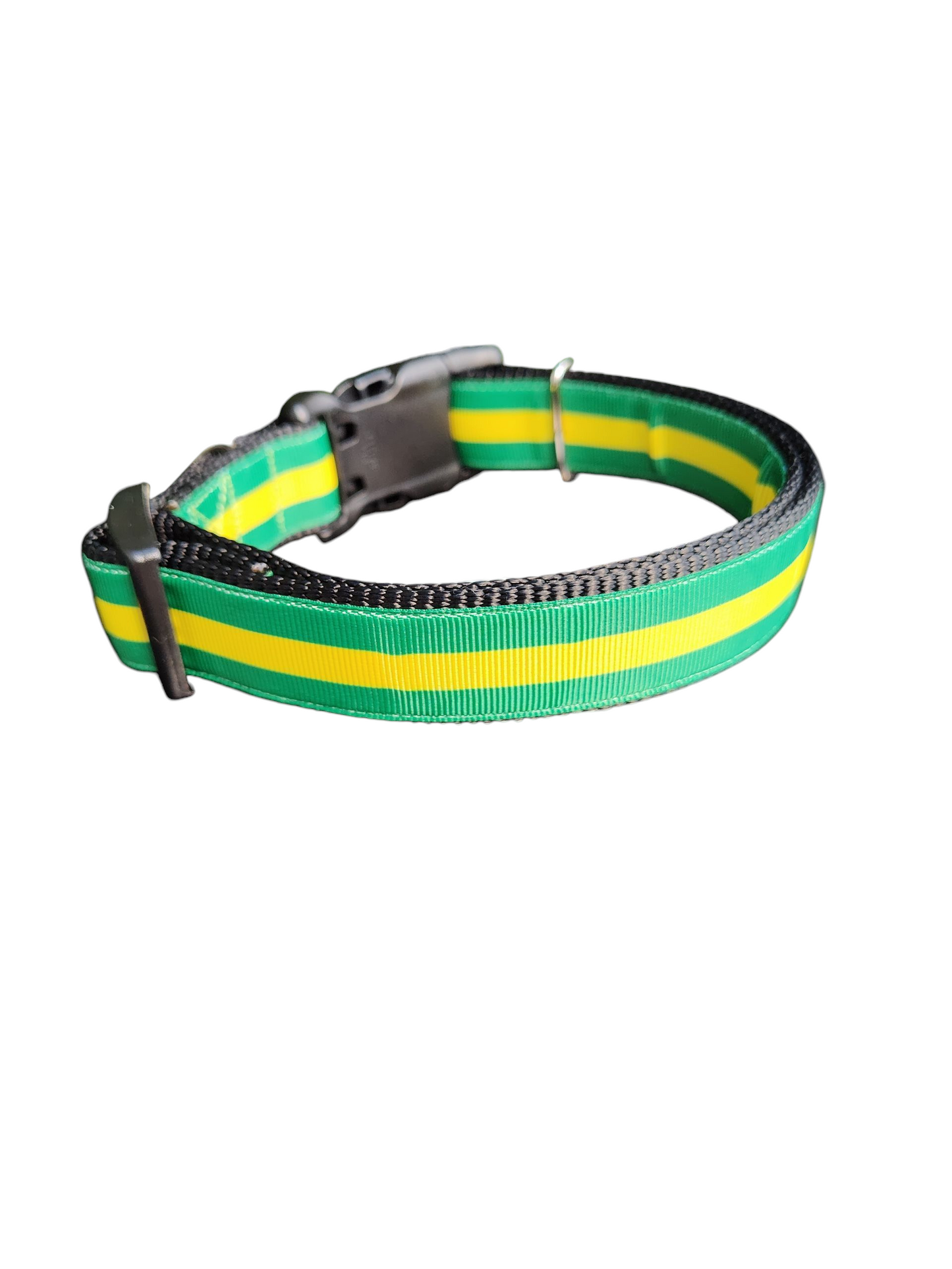 Collier pour chien en nylon vert et or