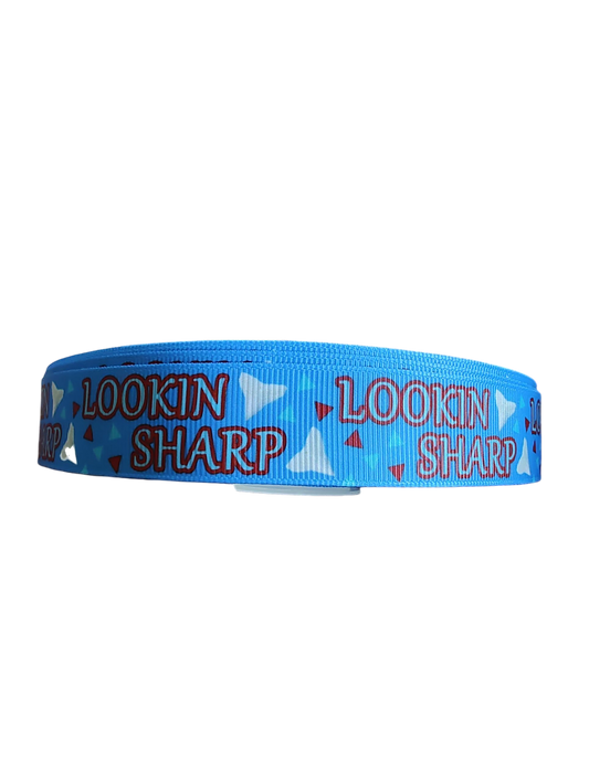 Collier pour chien en nylon Lookin Sharp