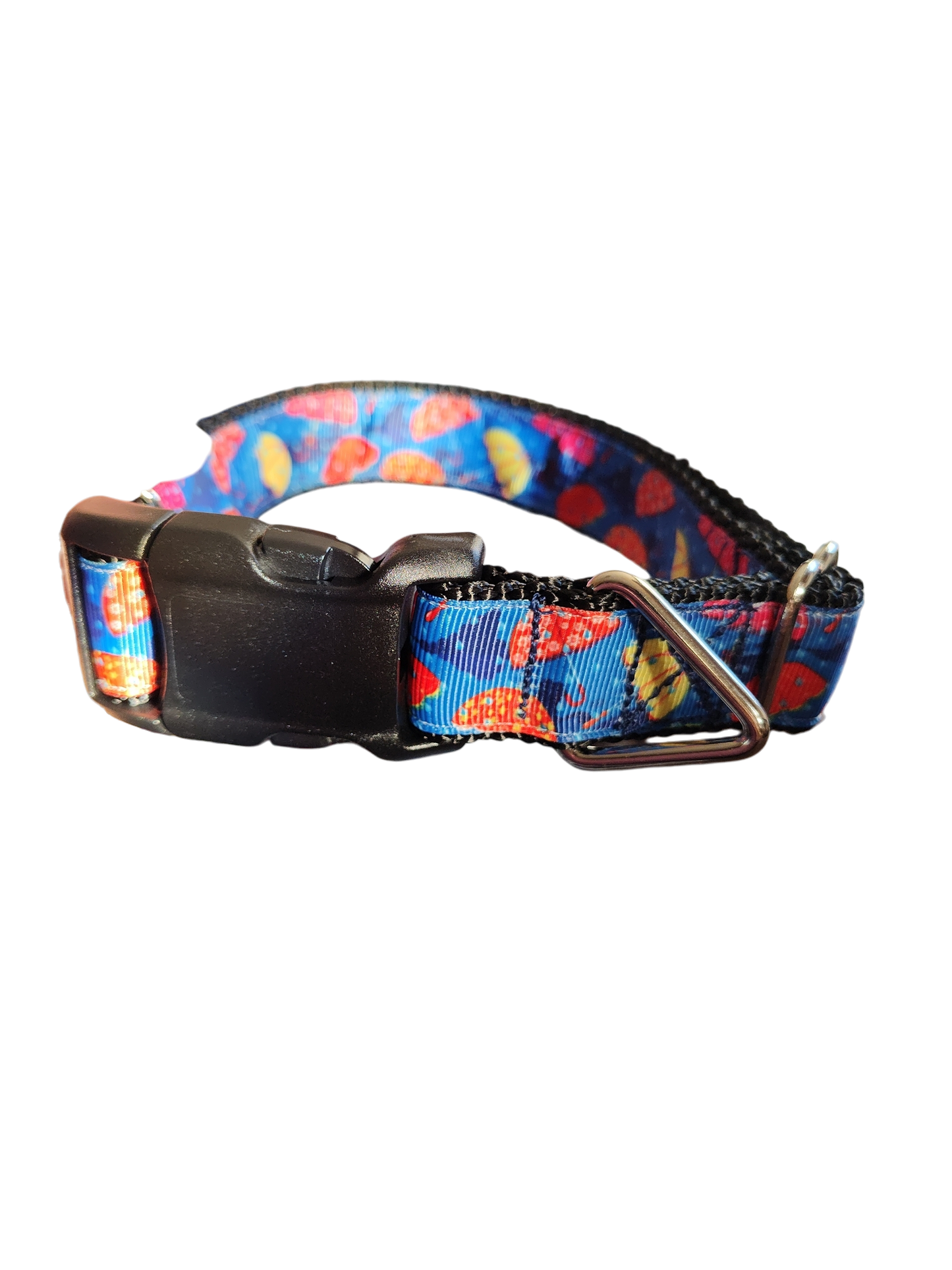 Parapluies Collier pour chien en nylon