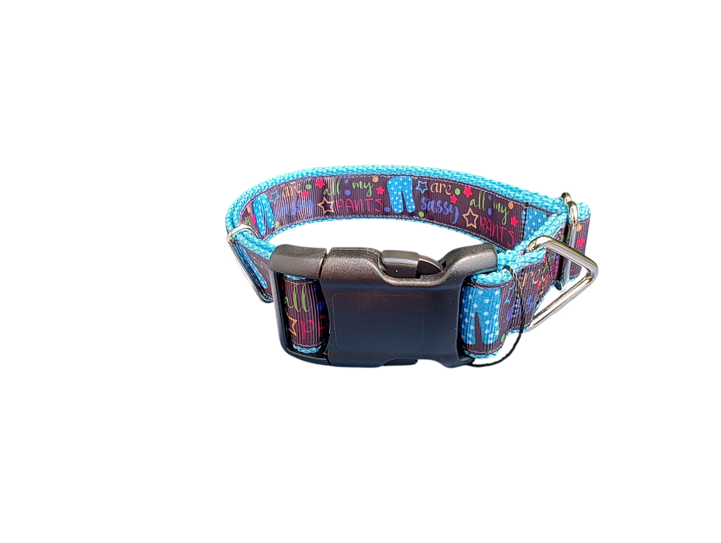 Collar de nailon para perros Sassy Pants