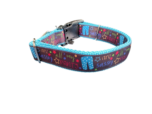Collier pour chien en nylon Sassy Pants