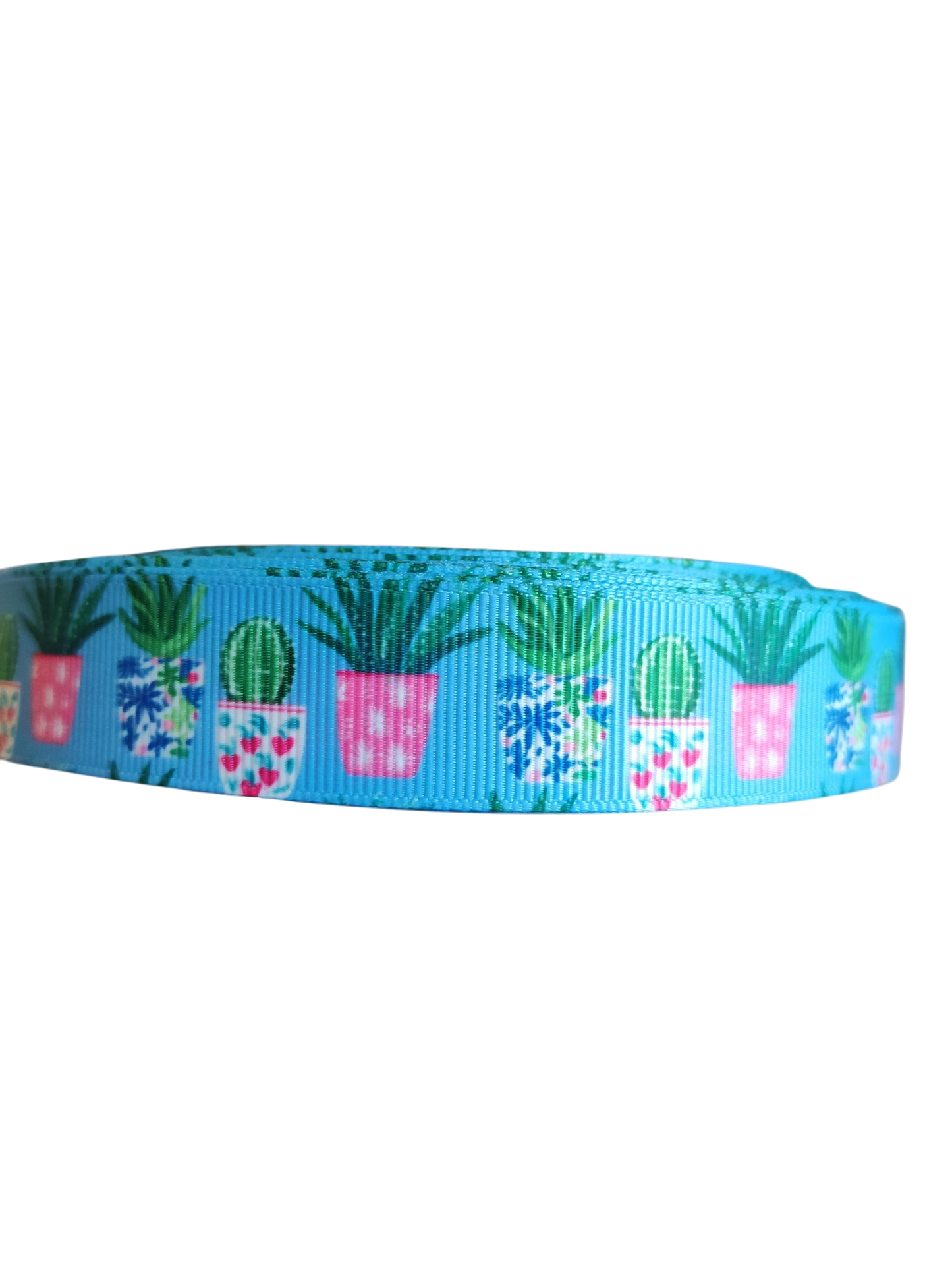 Collier pour chien en nylon avec cactus en pot