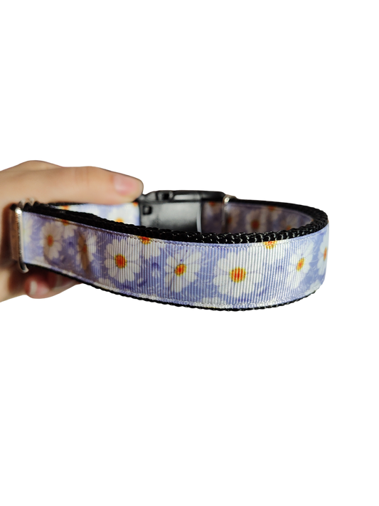 Collier pour chien en nylon à fleurs blanches