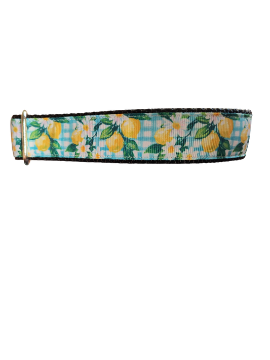 Collier pour chien en nylon à carreaux citrons