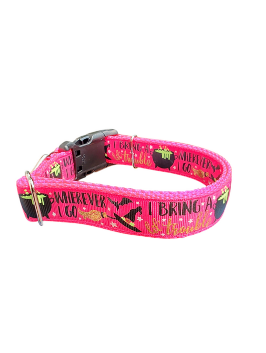 Collier pour chien en nylon « Je porte des ennuis »