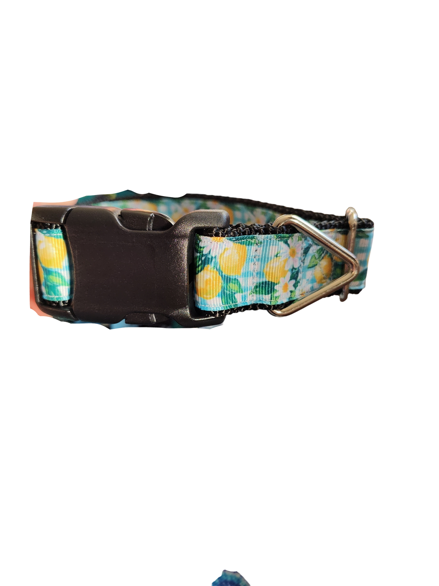 Collar de nailon para perro con estampado de limones y cuadros vichy