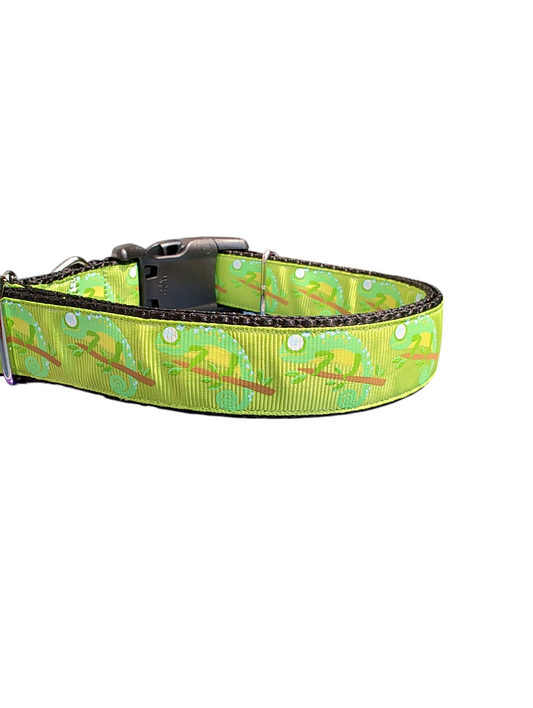 Collier pour chien en nylon caméléon