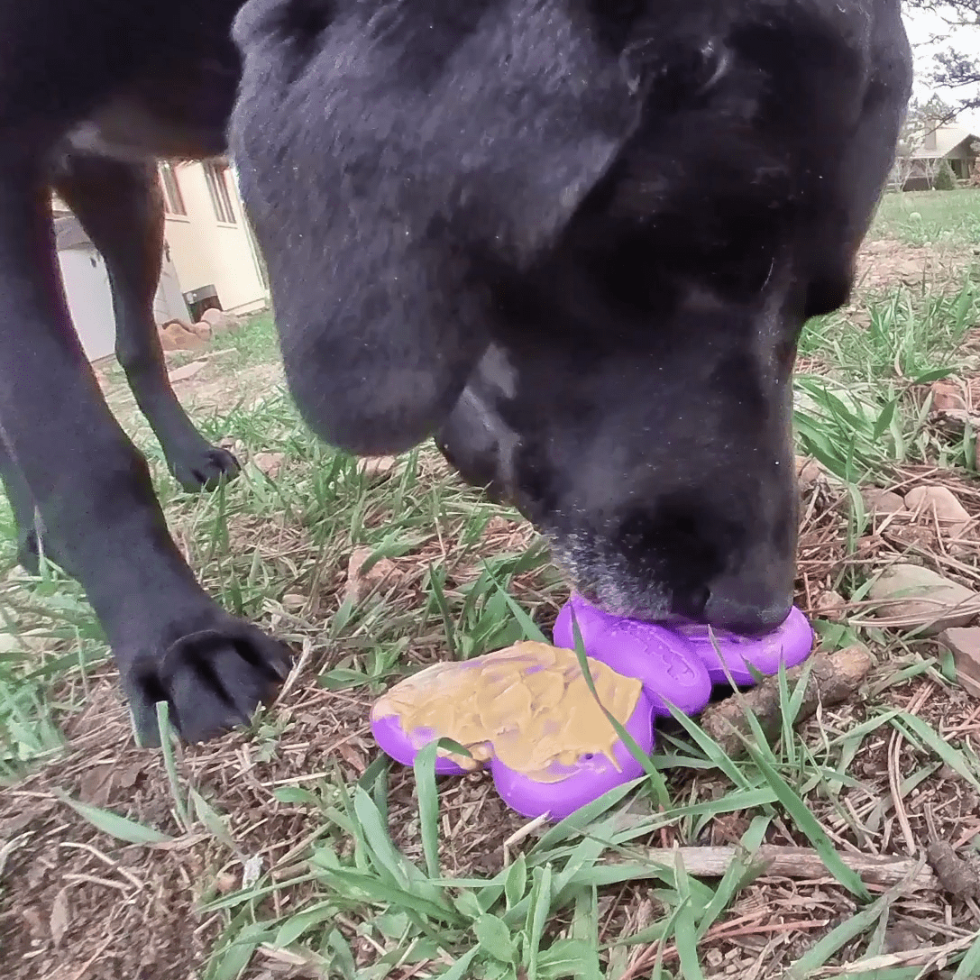 Butterfly Nylon Chew & Enrichment Toy | 2-in-1 for Aggressive Chewers | SodaPup