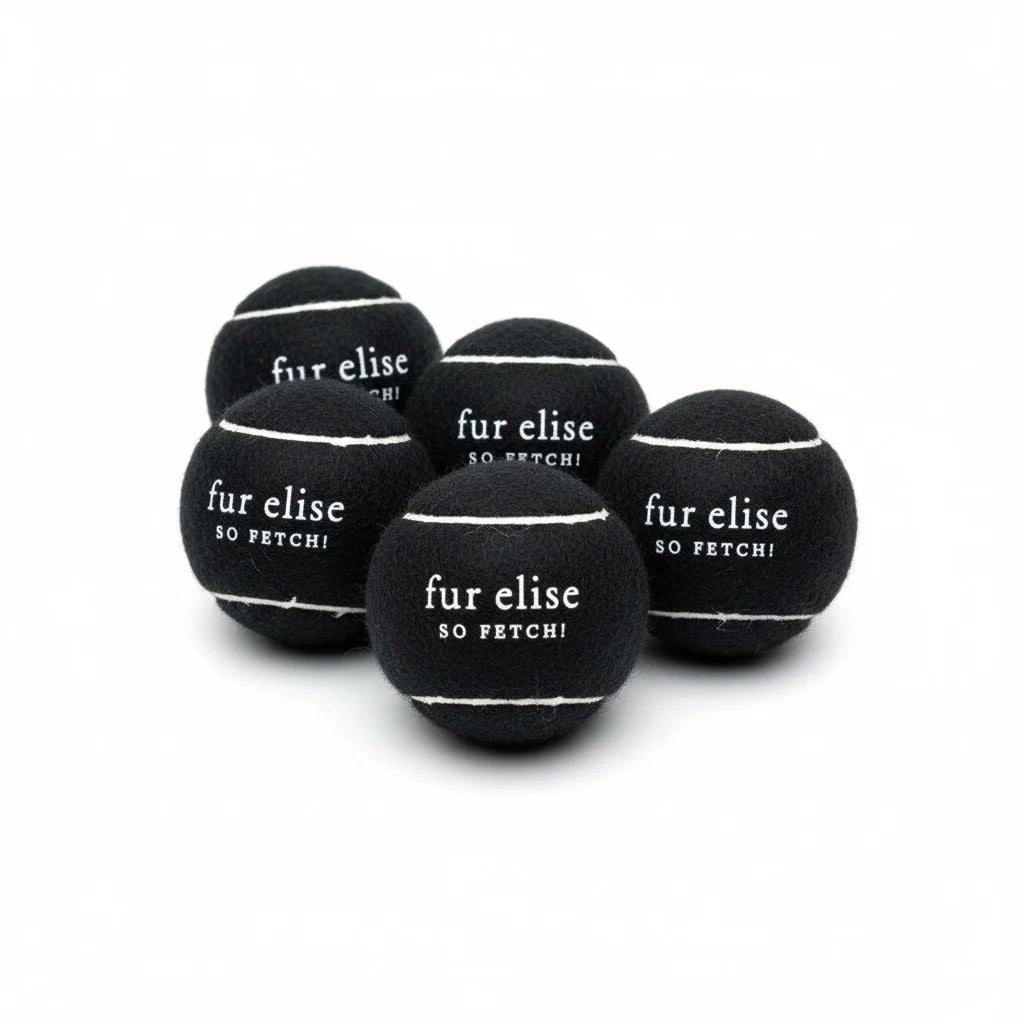 So Fetch! Lot de 5 balles de tennis - Noires