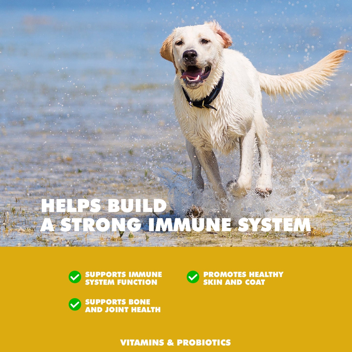 UBAVET Soutien immunitaire quotidien, comprimés multivitaminés et minéraux pour chiens – 90 comprimés