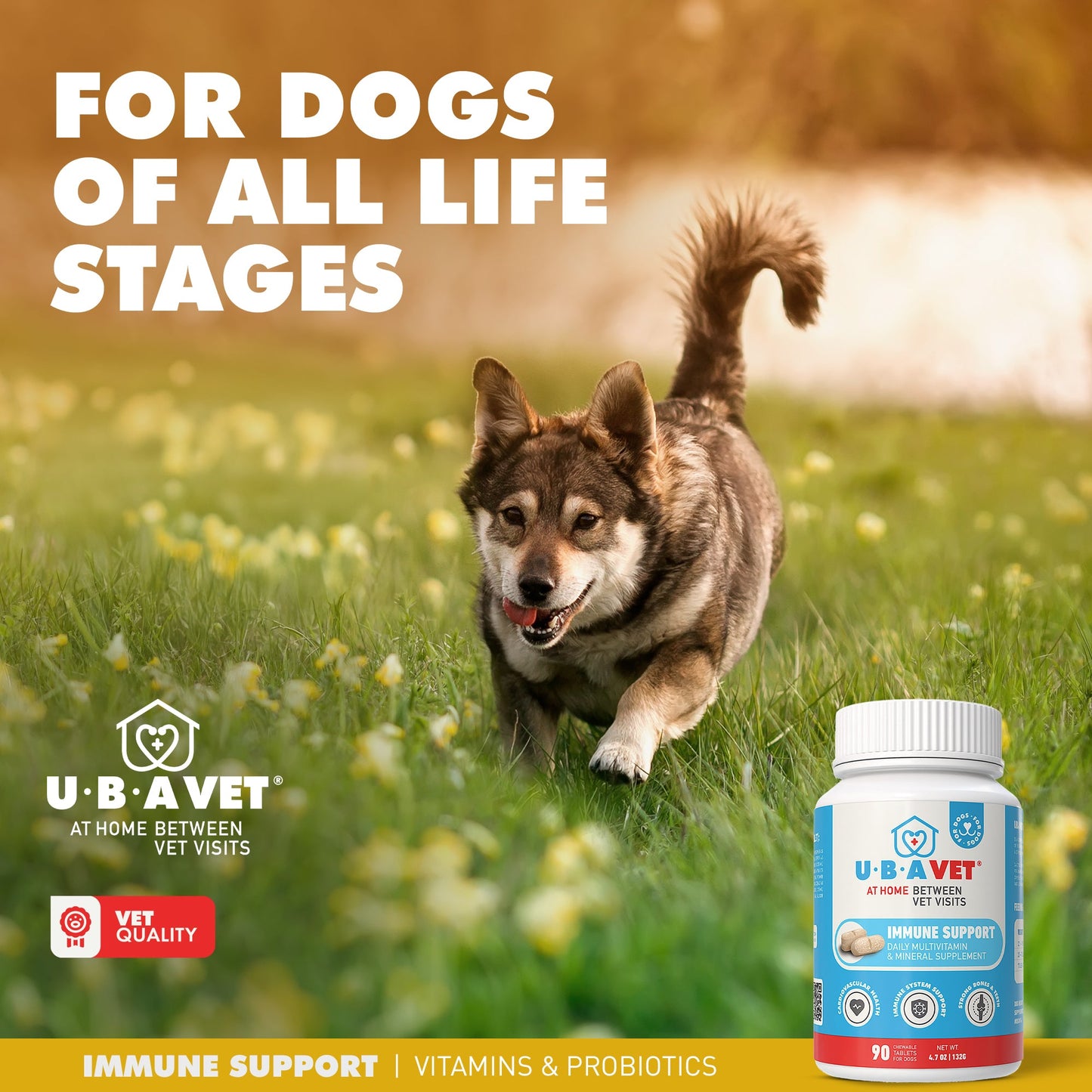 UBAVET Soutien immunitaire quotidien, comprimés multivitaminés et minéraux pour chiens – 90 comprimés