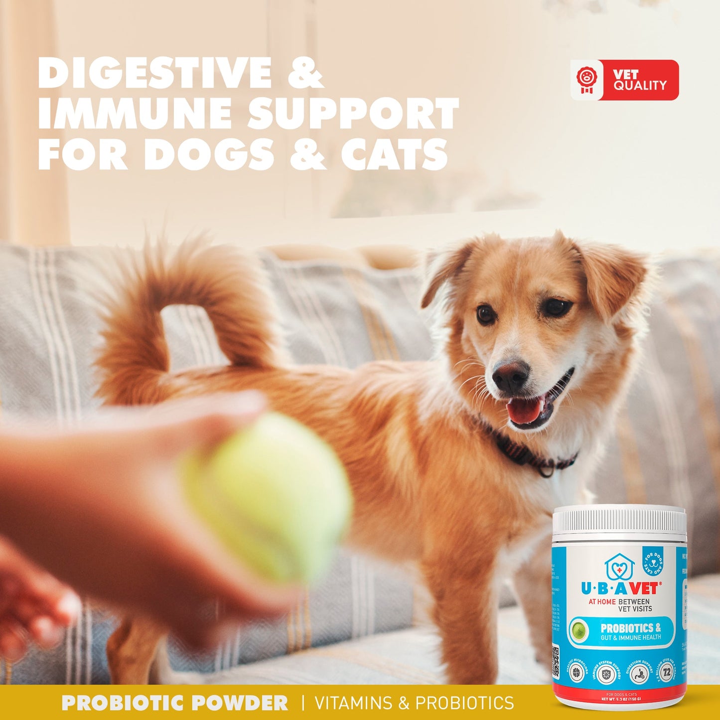 UBAVET Probiotiques et soutien de la santé intestinale et immunitaire pour chiens et chats – 150 g (5,3 oz) en poudre
