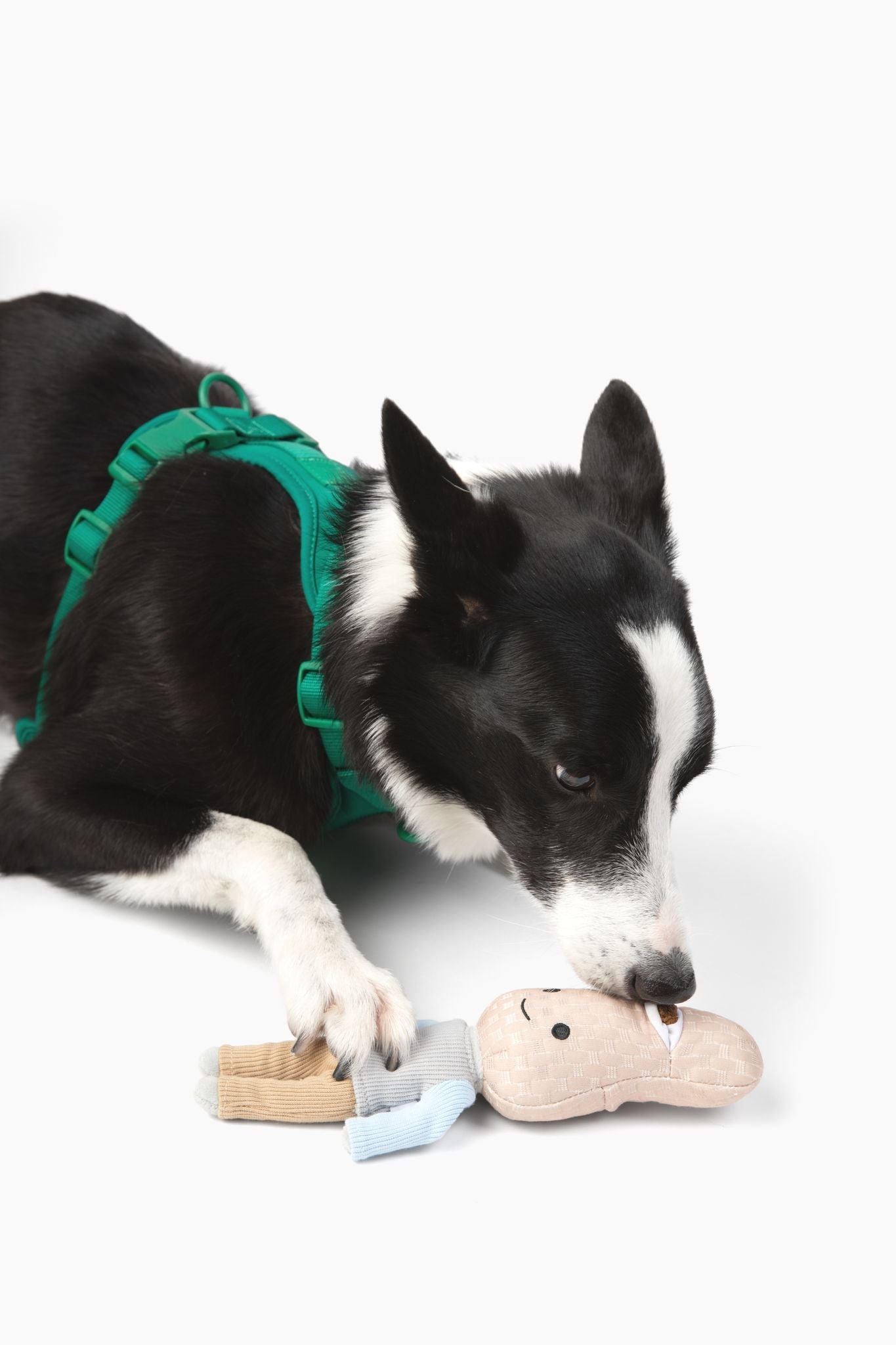 Juguete para perros Peanut Nose Work