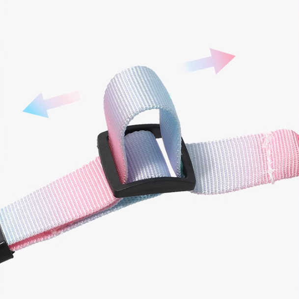 Ceinture de sécurité auto réglable pour animaux de compagnie Milou &amp; Lumi